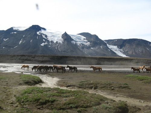 South of Iceland Tour