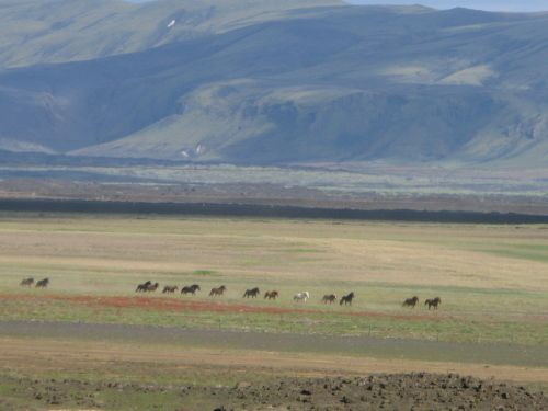South of Iceland Tour