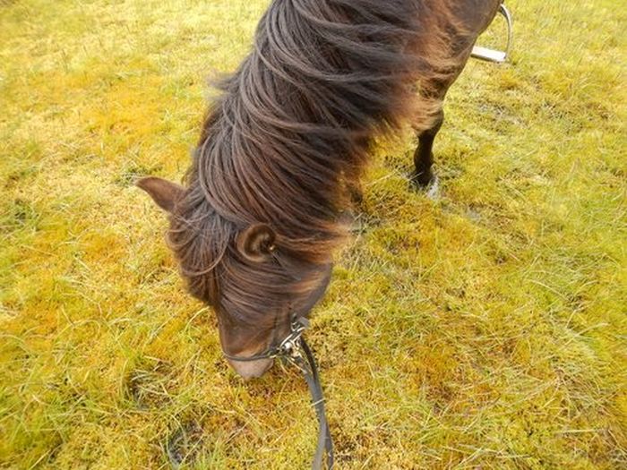 Landmannalaugar Ride