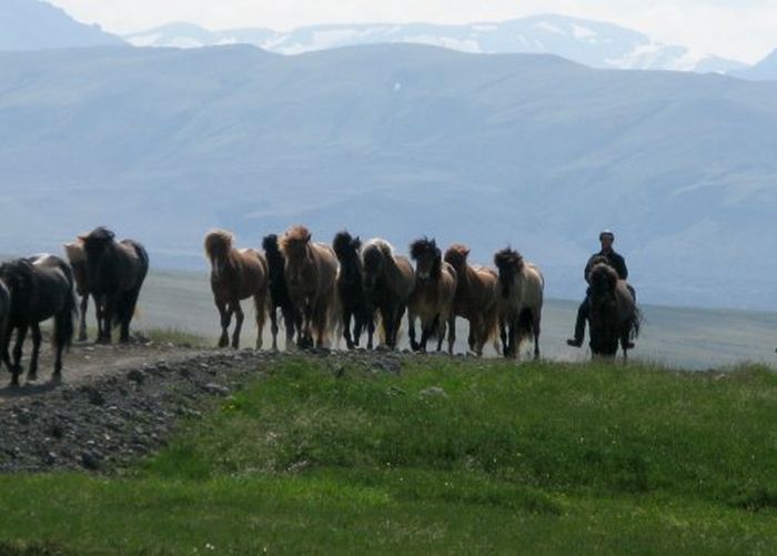 Landmannalaugar Ride