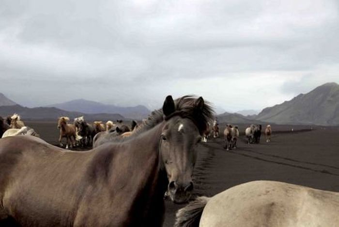 Landmannalaugar Ride