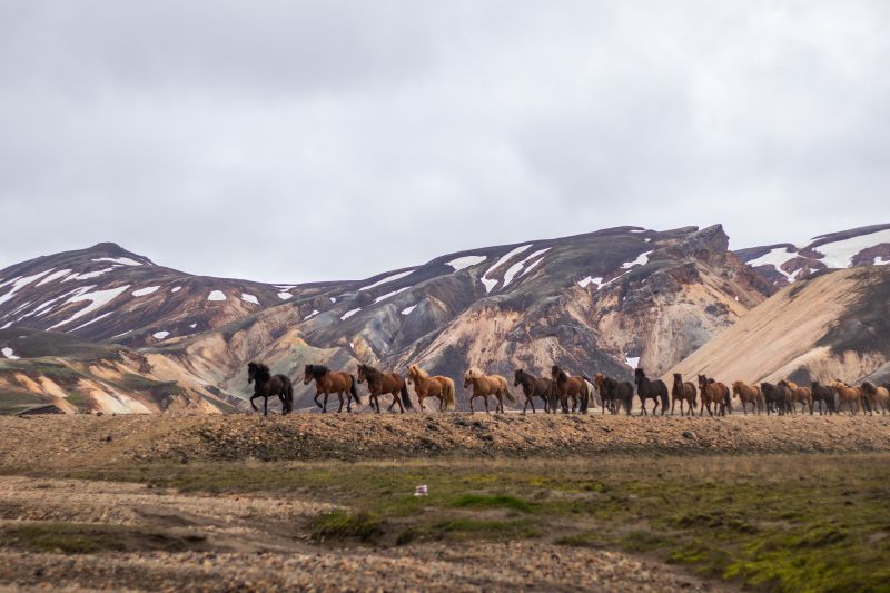 Landmannalaugar Ride