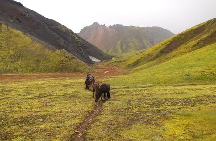 Landmannalaugar Ride