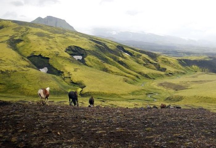 Landmannalaugar Ride
