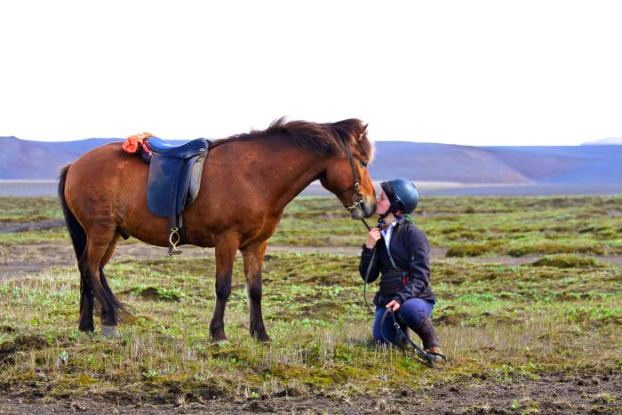 South Iceland Exclusive