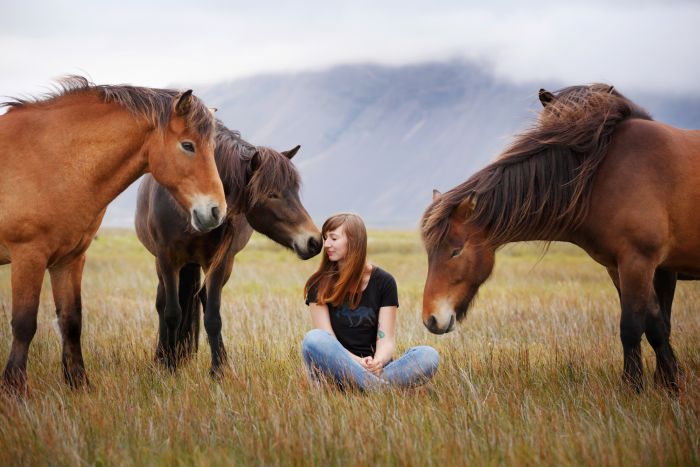 South Iceland Exclusive