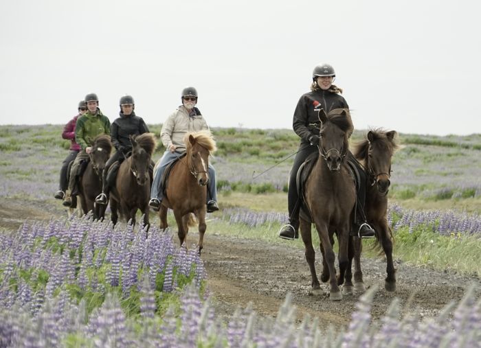 South Iceland Exclusive