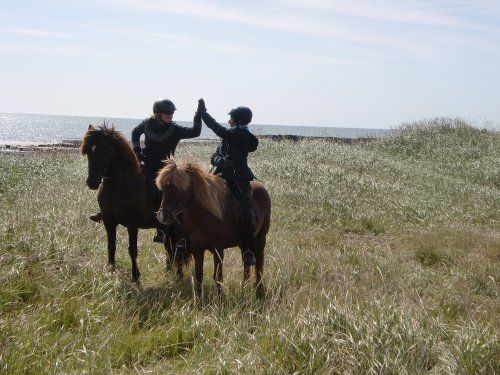 Snaefellsnes Volcano and Beach Ride