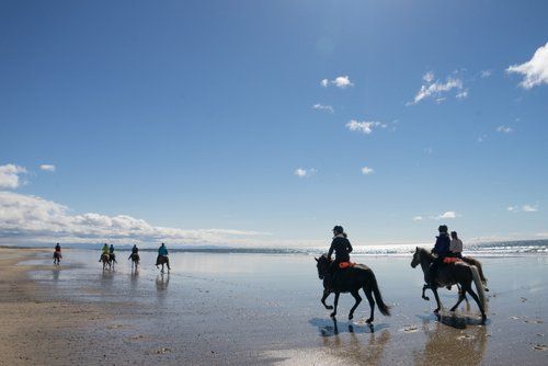 Snaefellsnes Volcano and Beach Ride