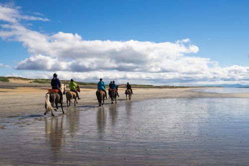 Snaefellsnes Volcano and Beach Ride