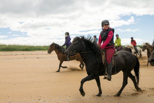 Snaefellsnes Volcano and Beach Ride