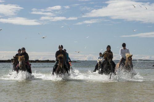 Snaefellsnes Volcano and Beach Ride