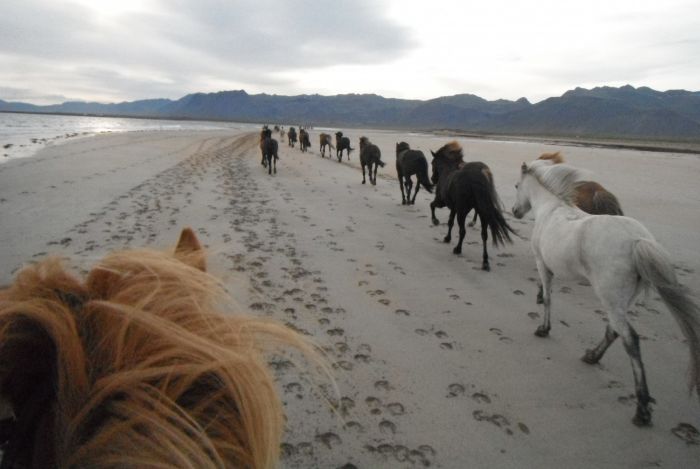 Snaefellsnes Volcano and Beach Ride
