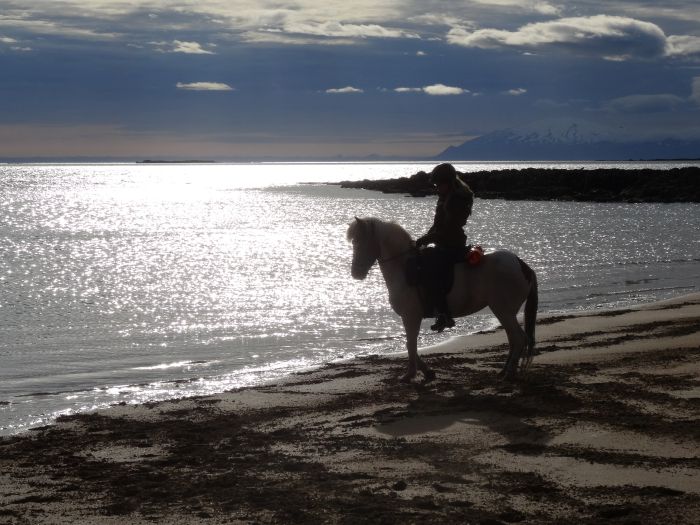 Snaefellsnes Volcano and Beach Ride