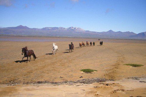 Snaefellsnes Volcano and Beach Ride