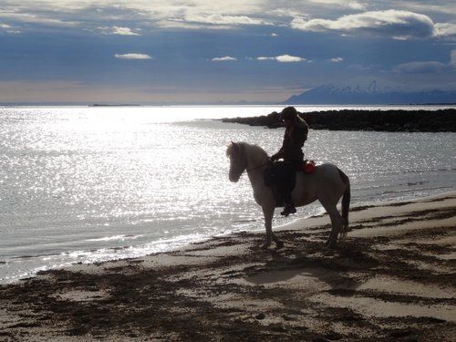 Snaefellsnes Volcano and Beach Ride