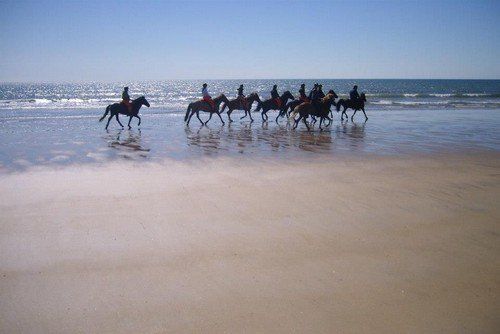 Snaefellsnes Volcano and Beach Ride