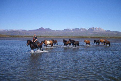 Snaefellsnes Volcano and Beach Ride