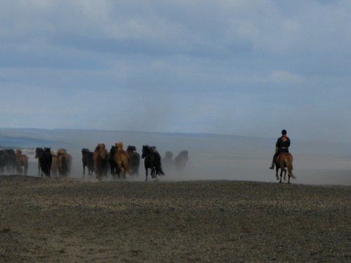 Ride over the Sprengisandur