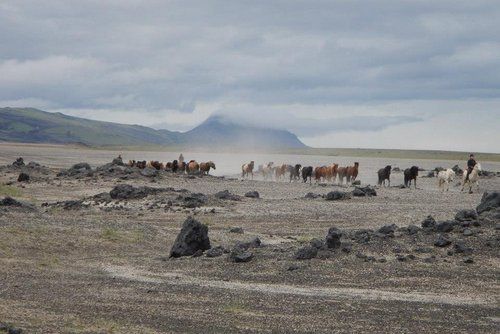 Ride over the Sprengisandur