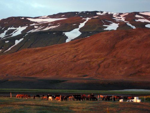 Ride over the Sprengisandur