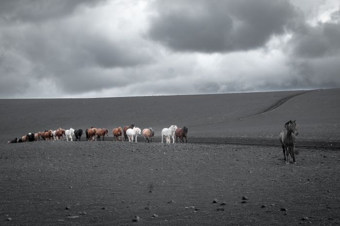 Ride over the Sprengisandur
