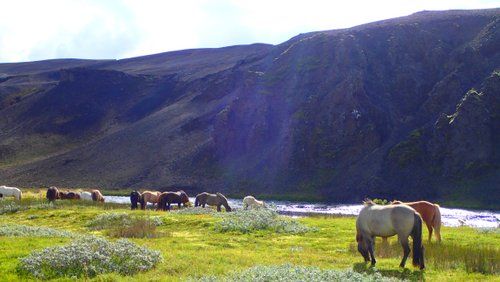 Ride over the Sprengisandur