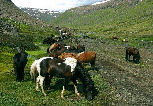 Ride over the Sprengisandur