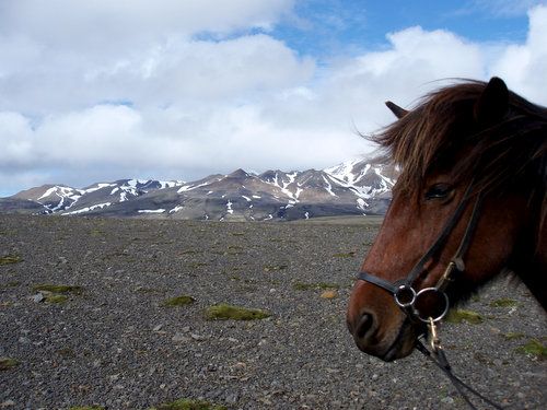 Ride over the Sprengisandur