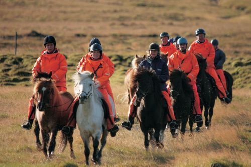 Thingvellir Ride