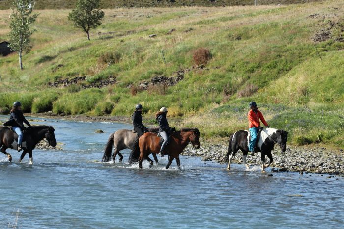 Thingvellir Ride