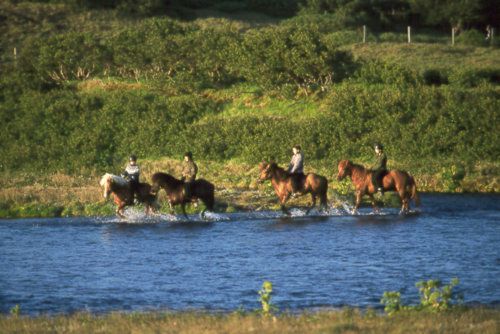 Thingvellir Ride