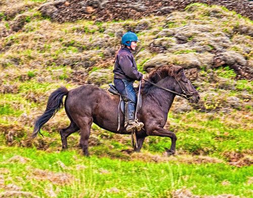 Thingvellir Ride