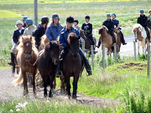Thingvellir Ride
