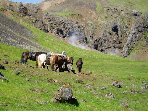 Thingvellir Ride