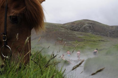 Thingvellir Ride