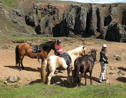 Thingvellir Ride