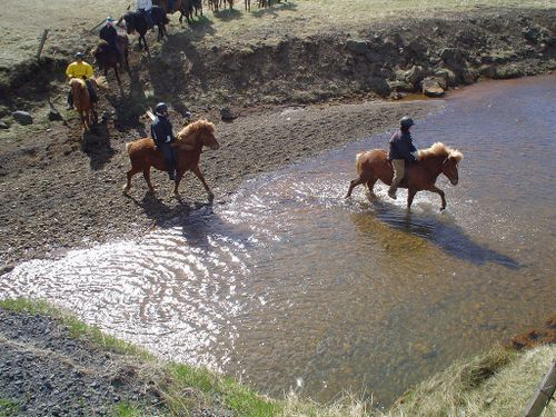 Thingvellir Ride