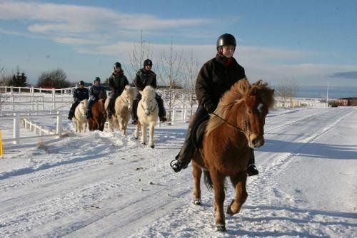 Winter Fun in Iceland
