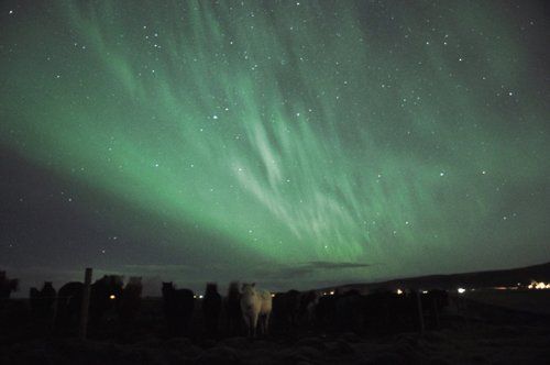 Winter Fun in Iceland