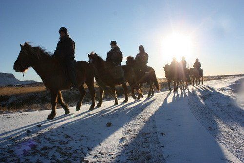 Winter Fun in Iceland
