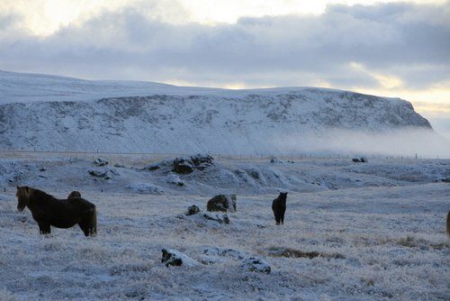 Winter Fun in Iceland