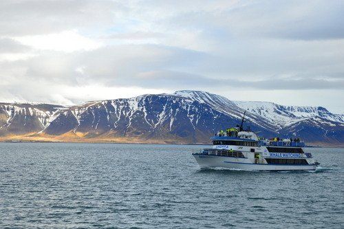 Winter Fun in Iceland