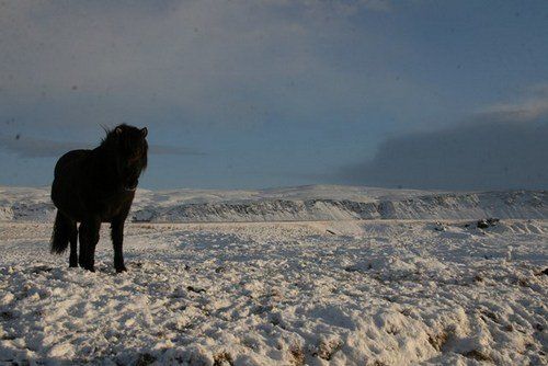Winter Fun in Iceland