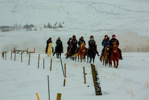Winter Fun in Iceland