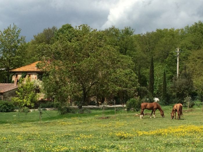Chianti Castles & Wine Ride