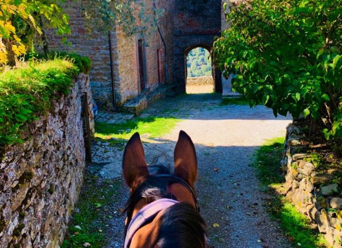 Chianti Castles & Wine Ride