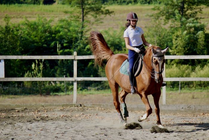 Chianti Castles & Wine Ride