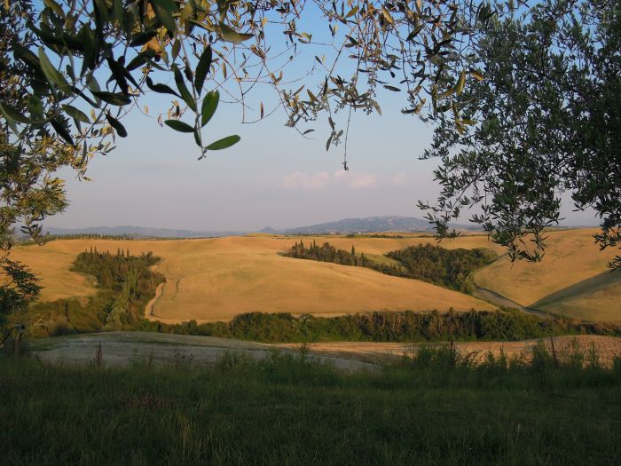 Chianti Castles & Wine Ride
