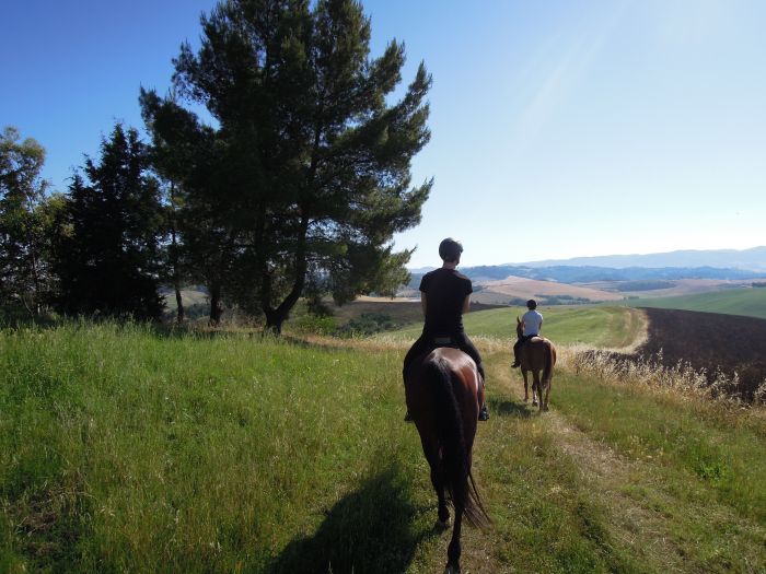 Chianti Castles & Wine Ride